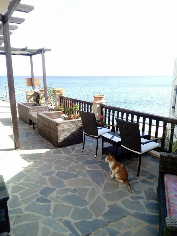 Coral Front Beach Zákros Exterior foto
